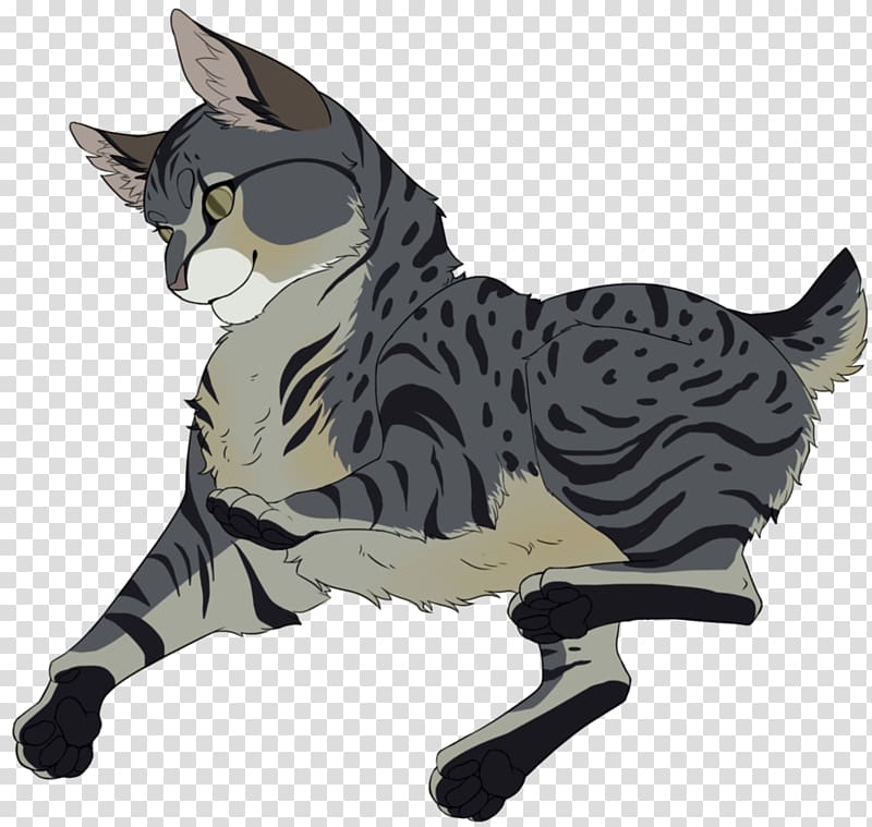 Manx cat American Shorthair American Wirehair California spangled Whiskers, shading transparent background PNG clipart