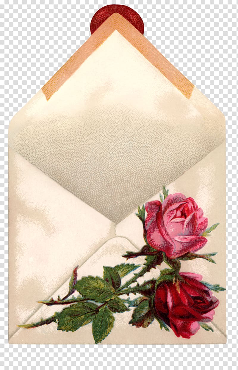 The Hatbox Letters A Measure of Light Things Are Never As They Seem: Poetry from the Heart Dog Home: Chronicle of a North Country Life, Rose Envelope transparent background PNG clipart