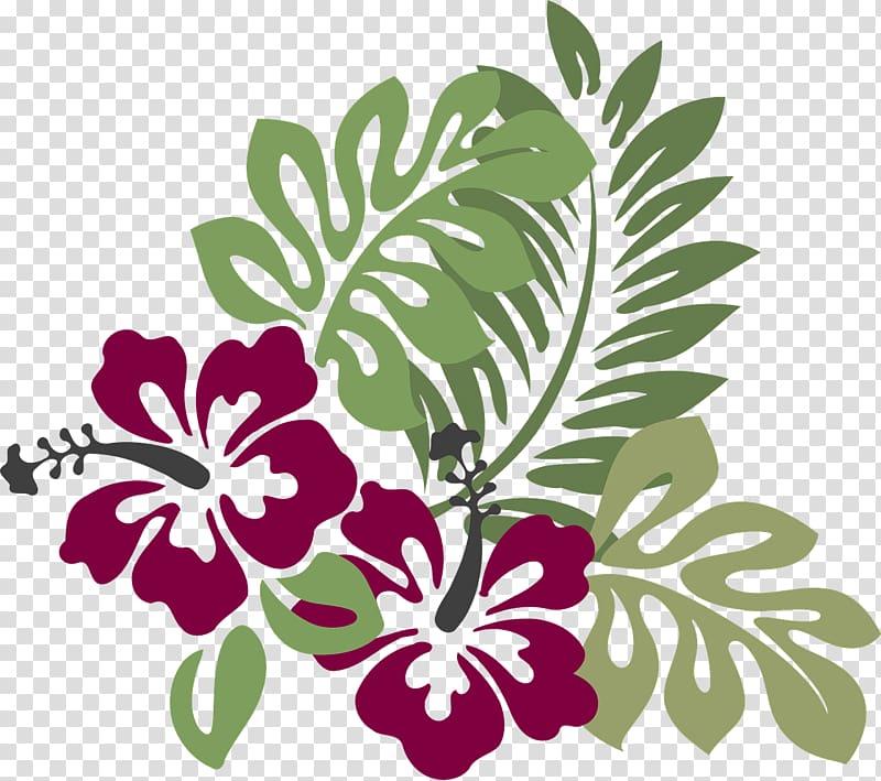 Drawing Hawaiian hibiscus , hibiscus flower transparent background PNG clipart
