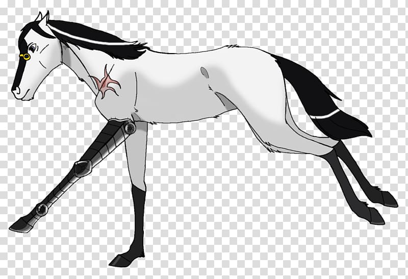 Mule English riding Foal Stallion Rein, mustang transparent background PNG clipart