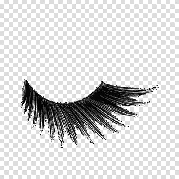 black false eyelash, Eyelash extensions Cosmetics Mascara Kryolan, eyelashes transparent background PNG clipart
