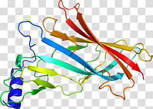 Line Point Organism , line transparent background PNG clipart thumbnail