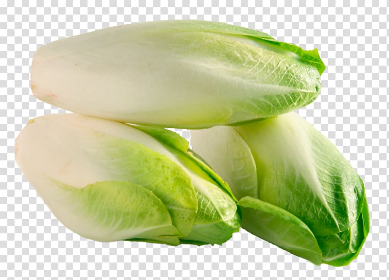 Endive Cichorium endivia Dict.cc Chicory Translation, lettuce transparent background PNG clipart