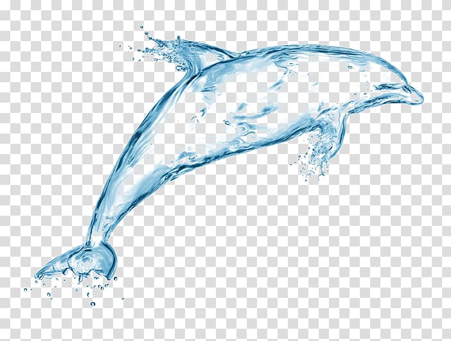 dolphin-shaped water illustration, Drop Splash Water Creativity Drawing, Dolphin spray transparent background PNG clipart