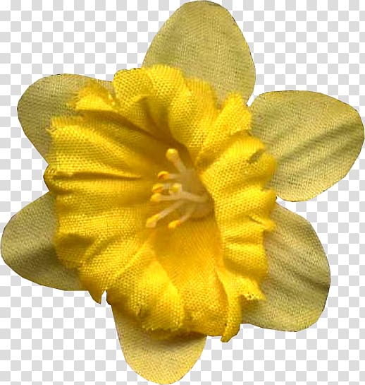 Narcissus Petal, others transparent background PNG clipart