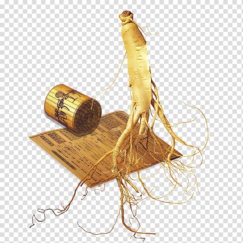 China Ginseng Bamboo and wooden slips, Bamboo ginseng ginseng free material transparent background PNG clipart