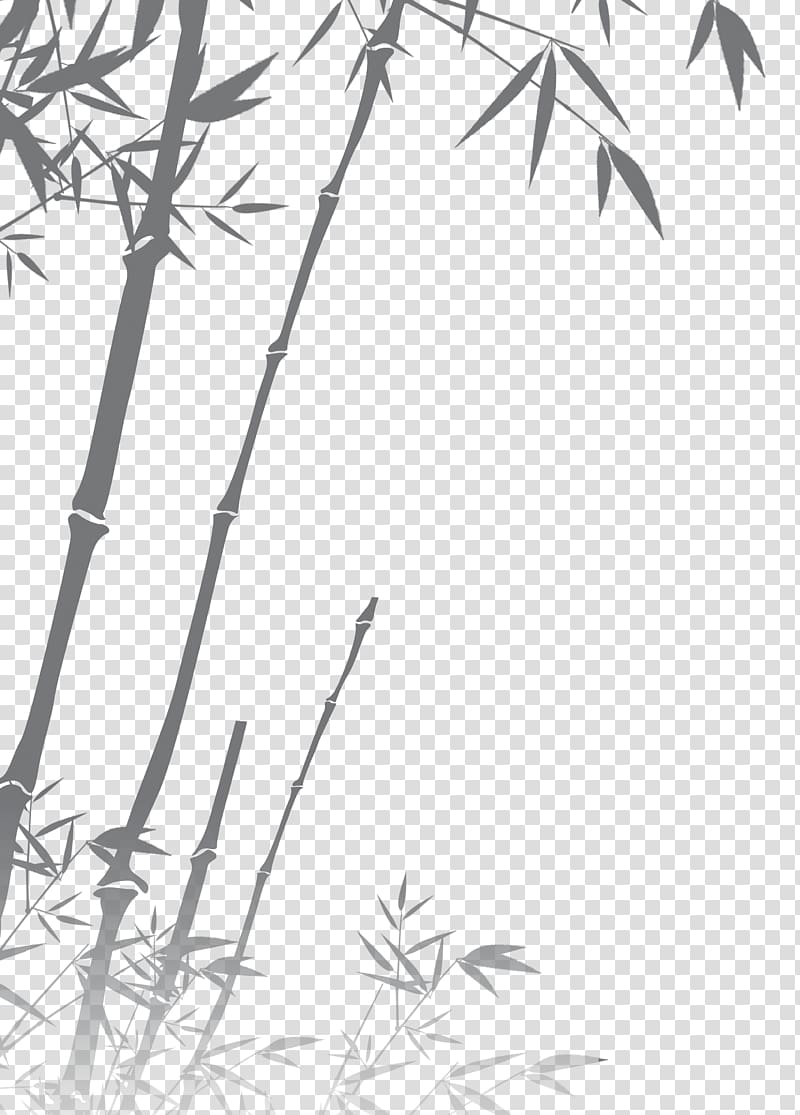 Black and white Bamboo Silhouette, bamboo transparent background PNG clipart