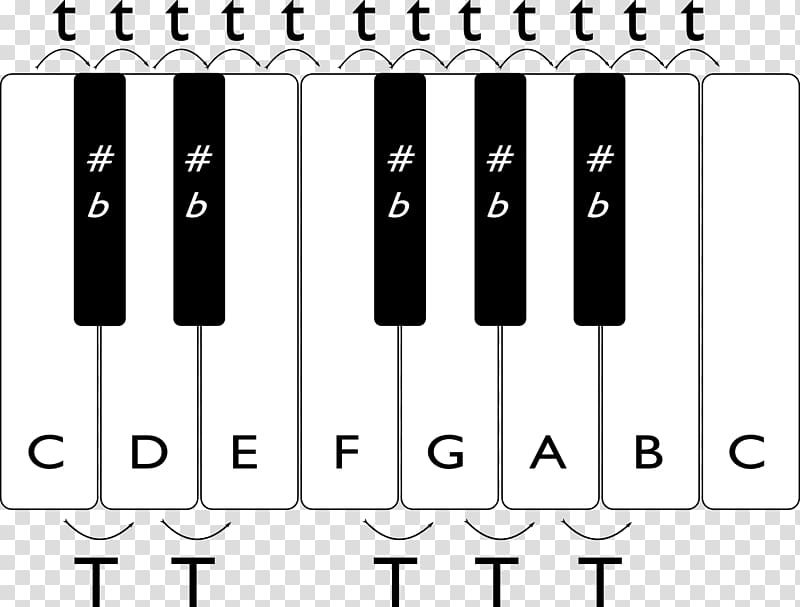 Musical keyboard Semitone Musical note Scale, musical note transparent background PNG clipart