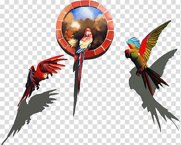 Visual arts 3D computer graphics Mural Illustration, parrot transparent background PNG clipart