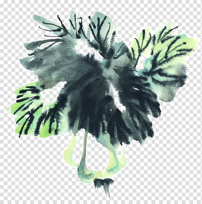 Ink wash painting Chinese cabbage Inkstick Vegetable, Painting cabbage transparent background PNG clipart