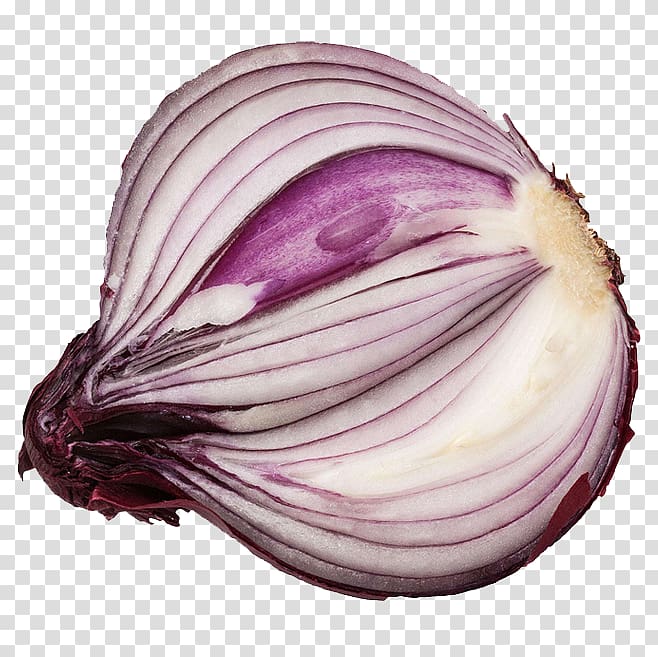Shallot Vegetable Potato onion Red onion Vegetarian cuisine, Purple Onion transparent background PNG clipart
