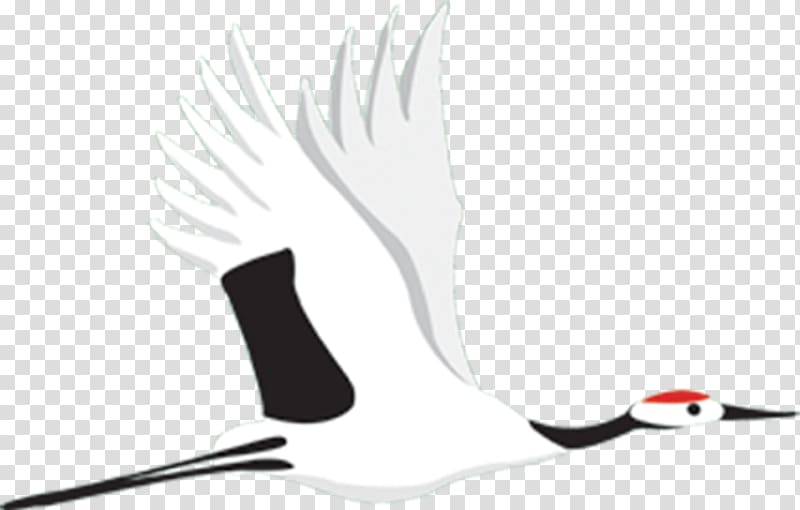 Red-crowned crane, Crane transparent background PNG clipart