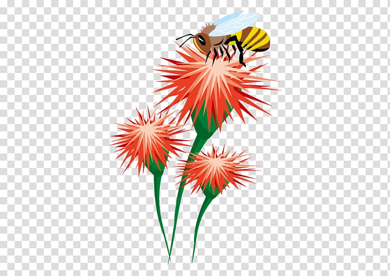 Honey bee Insect Bumblebee, Flowers Bee transparent background PNG clipart