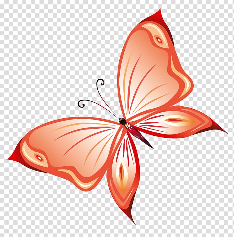 Butterfly Queen Alexandra's birdwing , Red Butterfly , red and yellow butterfly illustartion transparent background PNG clipart