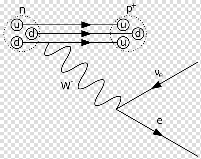 Feynman diagram Beta particle Beta decay Positron emission Quantum mechanics, decay transparent background PNG clipart