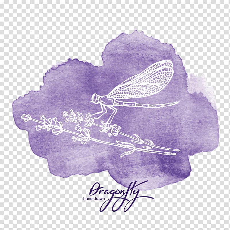 Watercolor painting, Dragonfly watercolor decoration transparent background PNG clipart