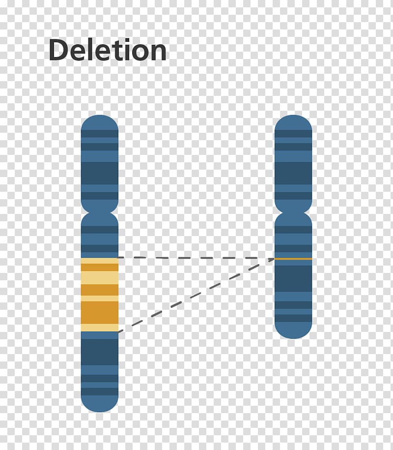 Chromosome abnormality Deletion DiGeorge syndrome Mutation, genetic material transparent background PNG clipart