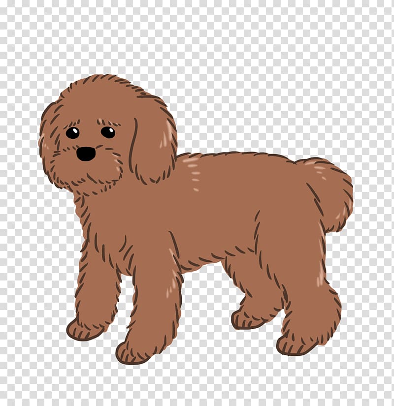 Goldendoodle Schnoodle Cockapoo Puppy Dog breed, puppy transparent background PNG clipart