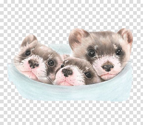 Ferret Puppy Painting Illustration, dog transparent background PNG clipart