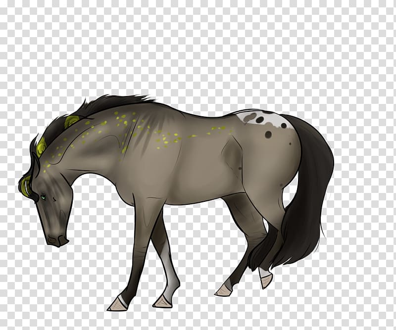 Mane Mustang Stallion Foal Pony, Emerald City transparent background PNG clipart