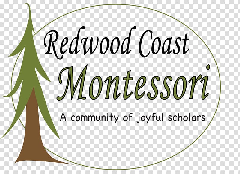 Redwood National and State Parks Eureka Redwood Montessori School Tree Redwoods, tree transparent background PNG clipart