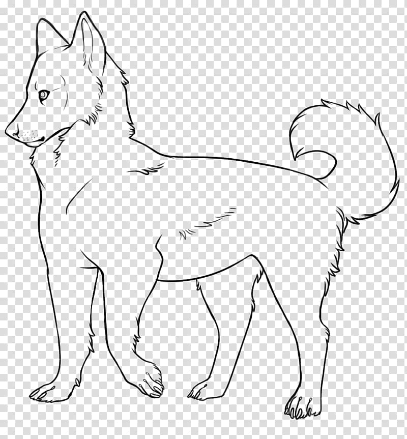 Siberian Husky Akita Puppy Canidae Dog breed, dog husky transparent background PNG clipart