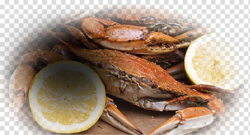 Dungeness crab Maine Avenue Fish Market Snow crab Red king crab, crab transparent background PNG clipart