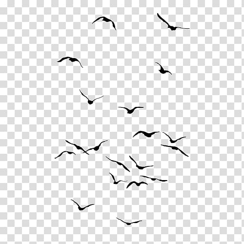 Bird Owl Drawing Flight Flock, Bird transparent background PNG clipart