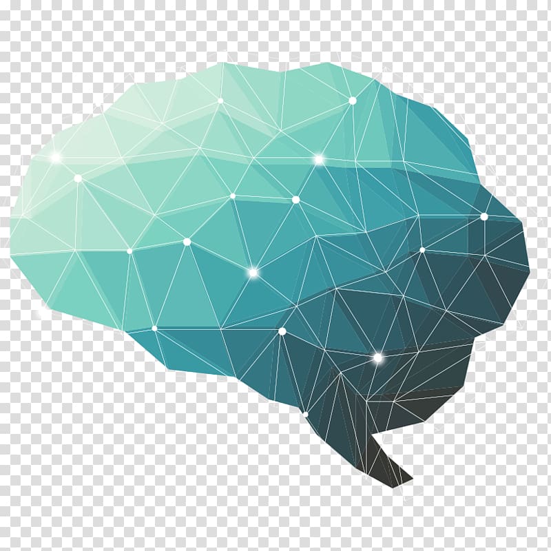 Brain Thought Neuroscientist Neuroscience Nervous system, Brain transparent background PNG clipart