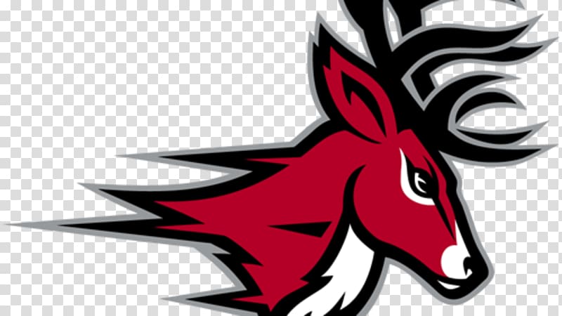 Fairfield University Webster Bank Arena Fairfield Stags men\'s basketball Fairfield Stags men\'s lacrosse Fairfield Stags baseball, lacrosse transparent background PNG clipart