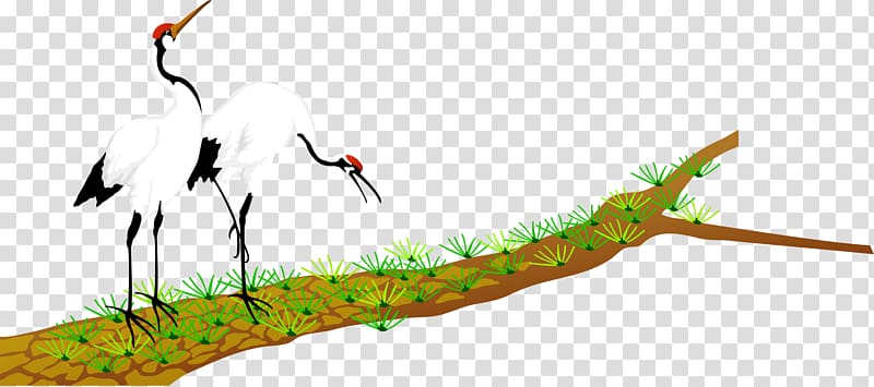 Pine Red-crowned crane, Hand-painted crane transparent background PNG clipart