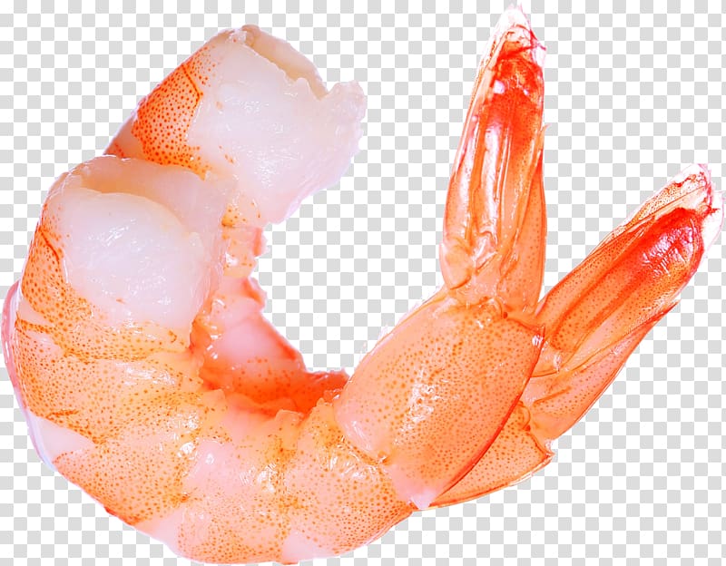 Prawn cocktail Shrimp Lobster Seafood, Shrimps transparent background PNG clipart