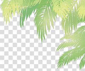 Green Leaf Illustration Leaf Euclidean Palm Leaves Transparent