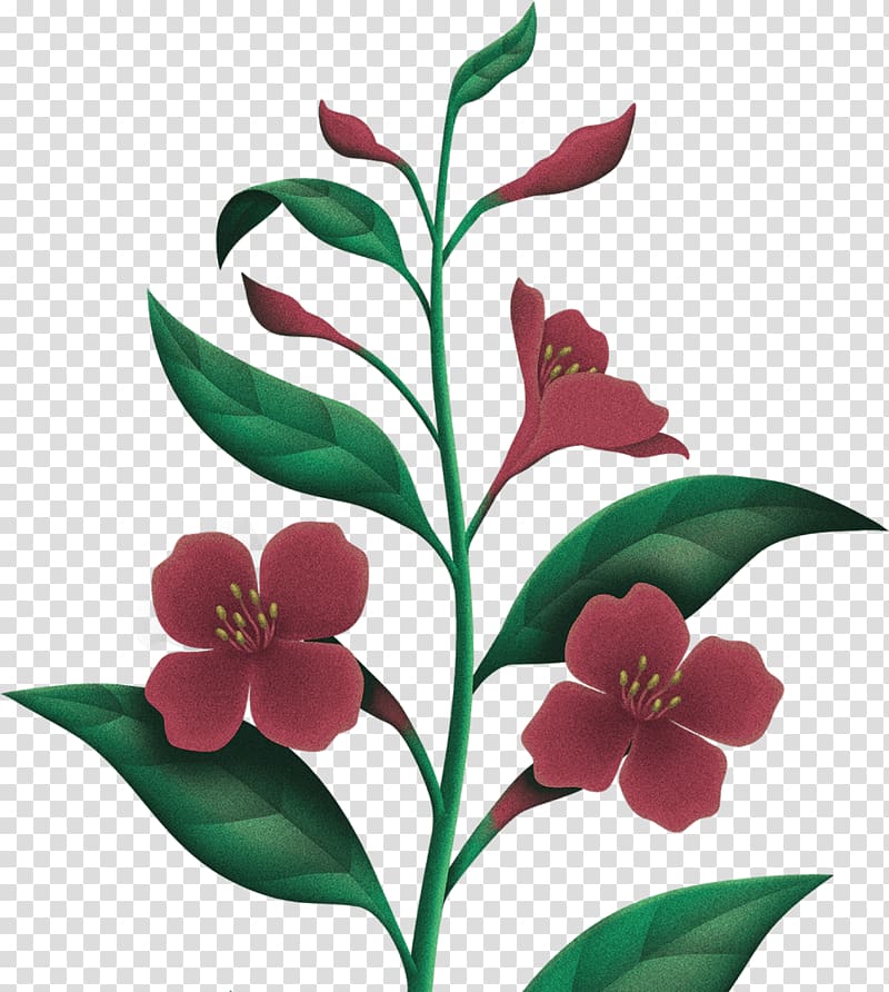 Floral design Cut flowers Moisturizer Gift Cleanser, camellia sinensis leaf transparent background PNG clipart