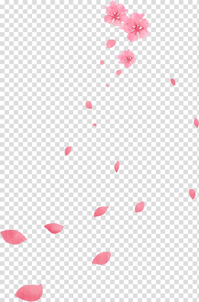 RGB color model Red, flower petals transparent background PNG clipart