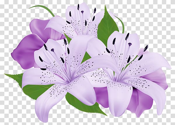 Purple Flower , watercolor lilac transparent background PNG clipart