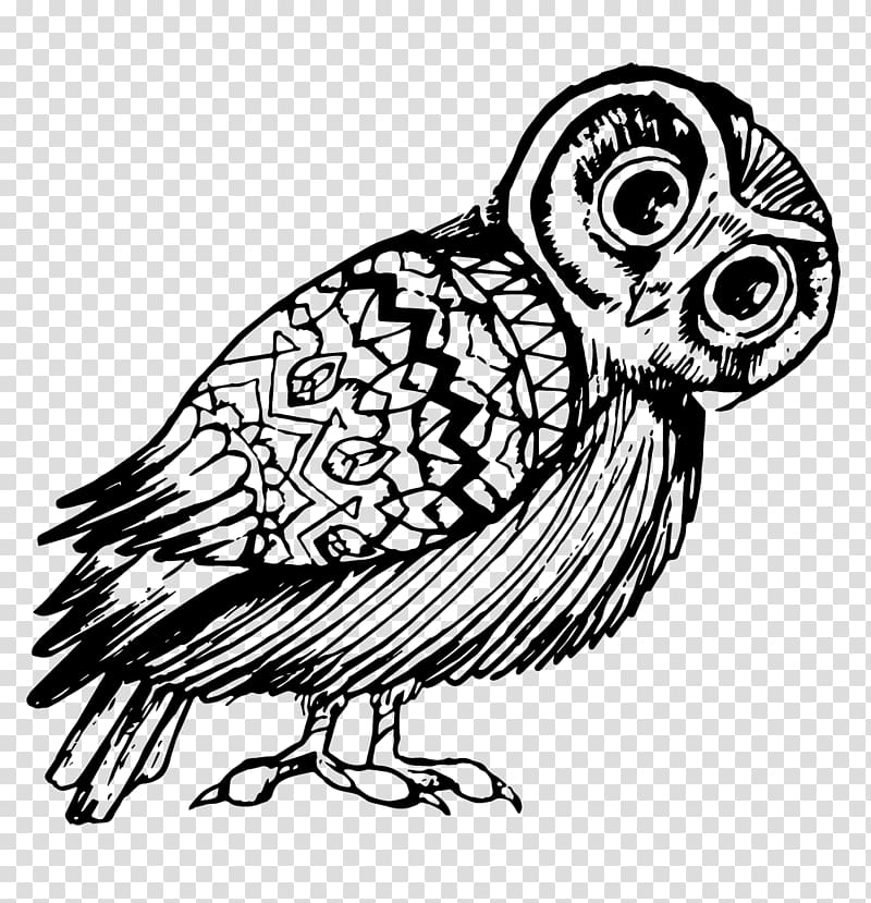 Owl Line art Graphic design, owl illustration transparent background PNG clipart