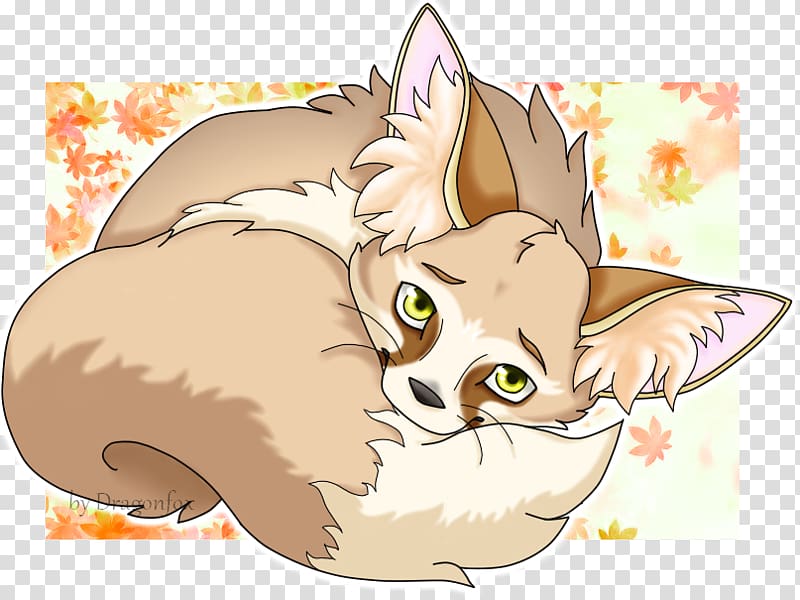 Kitten Fennec fox Drawing , little fox transparent background PNG clipart