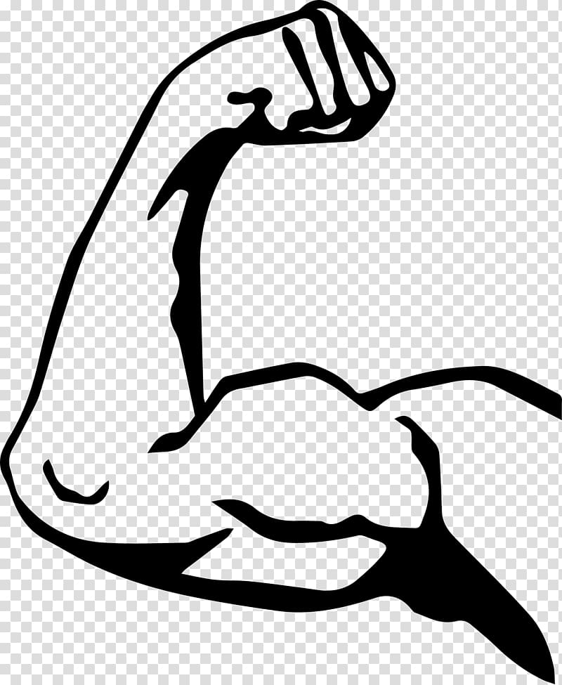 Arm Biceps Muscle Foot Human leg, arm transparent background PNG clipart