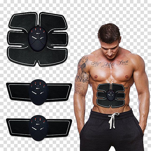 Electrical muscle stimulation Rectus abdominis muscle Muskeltrainer, others transparent background PNG clipart