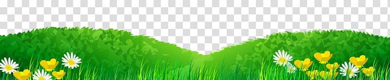 Lawn, Fresh green grass transparent background PNG clipart