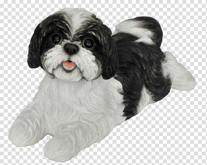 Shih Tzu Havanese dog Cavalier King Charles Spaniel Puppy Cavapoo, puppy transparent background PNG clipart