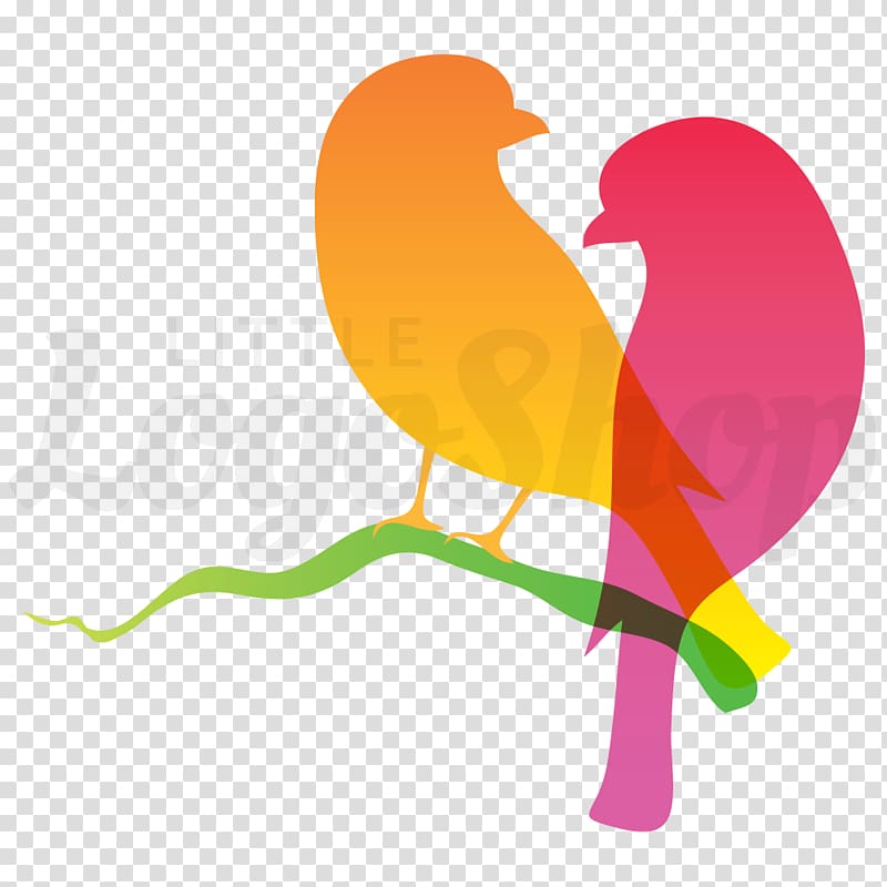 Premium Vector | Love bird logo design vector illustration