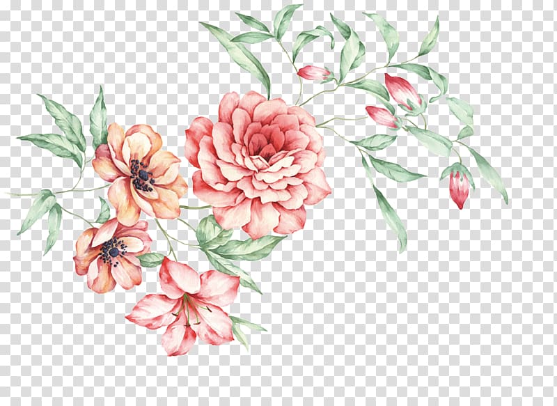 pink flowers illustration, China Floral design Moutan peony, Hand-painted Chinese peony transparent background PNG clipart