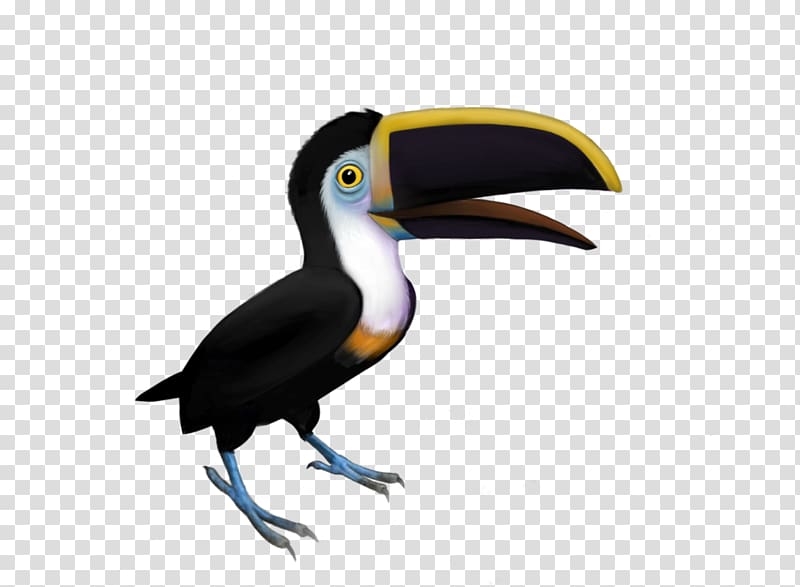 Bologna World of Warcraft Bird Toucan Piciformes, toucan transparent background PNG clipart