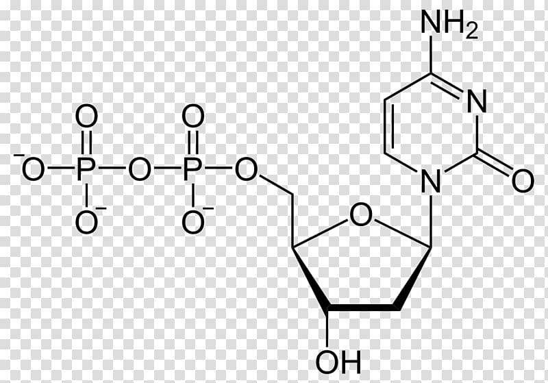 Deoxycytidine diphosphate Nucleoside Pyrophosphate, others transparent background PNG clipart