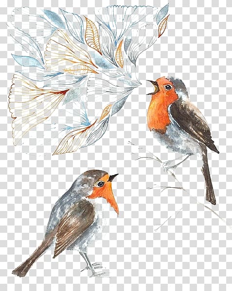 two European robin birds illustration, Bird Parrot Illustration, Painted Parrot transparent background PNG clipart