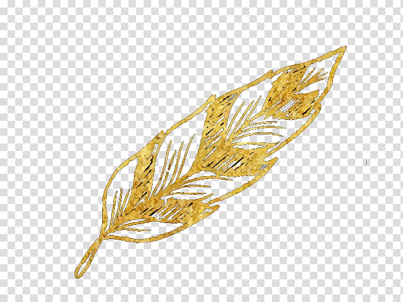 Emmer Sprouted wheat, Veerzaara transparent background PNG clipart