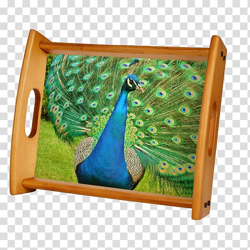 Pavo Bird Asiatic peafowl Feather Animal, Bird transparent background PNG clipart