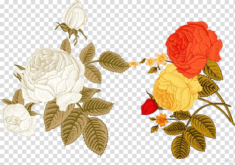 beautiful hand-painted vintage flowers transparent background PNG clipart